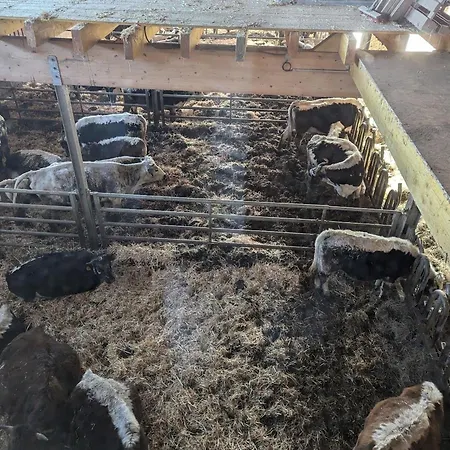 Authentique A La Montagne Pour 10 Pers. Avec - Fr-1-589-830 Ramonchamp