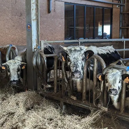 Сasa de vacaciones Authentique A La Montagne Pour 10 Pers. Avec - Fr-1-589-830