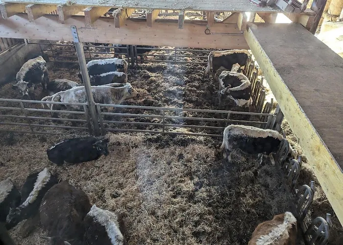 Authentique A La Montagne Pour 10 Pers. Avec - Fr-1-589-830 Ramonchamp