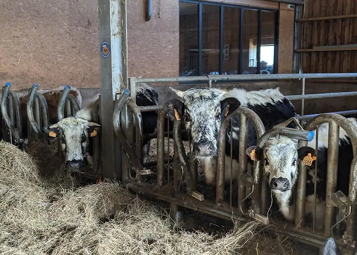 펜션 Authentique A La Montagne Pour 10 Pers. Avec - Fr-1-589-830